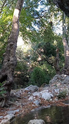 Rido Camping Yerel İşletme fotoğrafı 4
